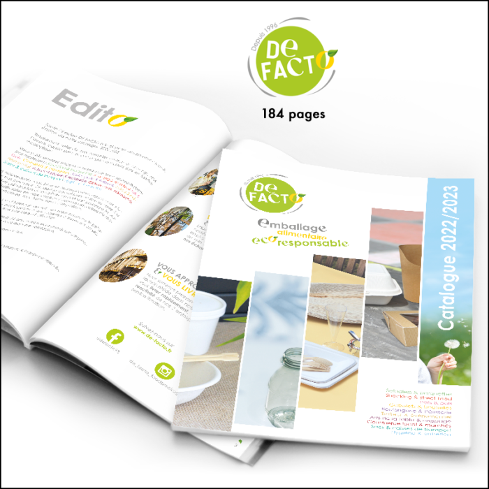 carrefour-creation-dossier-de-presse-noel-22